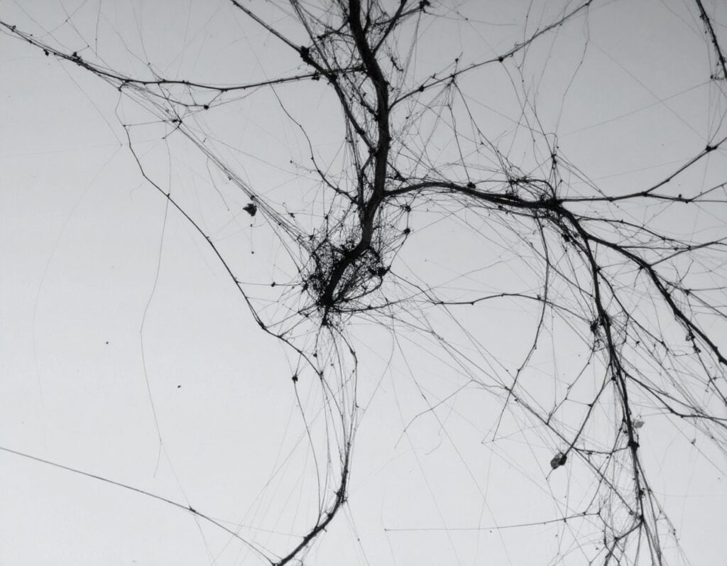 Inteligencia artificial y procesos creativos divergentes