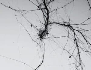 Inteligencia artificial y procesos creativos divergentes