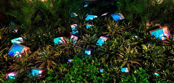 TV Garden, de Nam June Paik