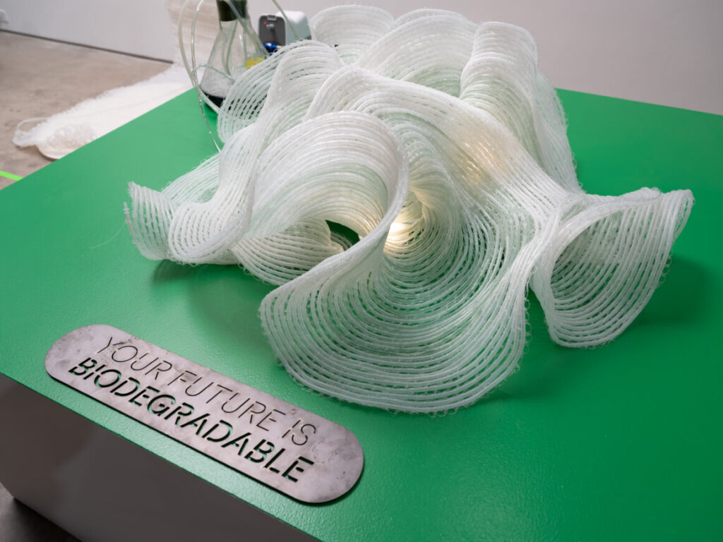 Representación, Pinar Yoldas: Escultura sináptica.