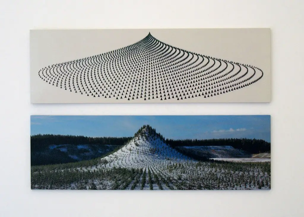 TREE MOUNTAIN - A LIVING TIME CAPSULE